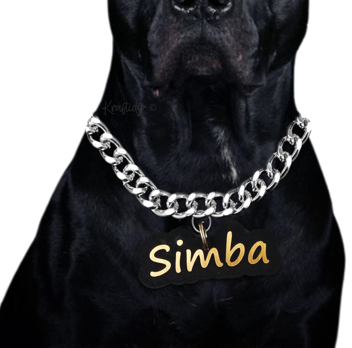 Buy Kraftidy Dog Choke Chain Collar with Name tag id Customized for
