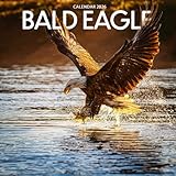 Photo Gallery bald eagles calendar 2026: wildlife photography of majestic american eagles Photo Gallery bald eagles calendar 2026: wildlife photography of majestic american eagles