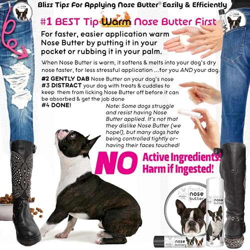 Image of The Blissful Dog Boston Terrier Nose Butter, Versatile Dog Nose Balm for Dry Nose, Handcrafted Nose Moisturizer, Easy-to-Apply Dog Essentials, Unscented, 0.50 oz