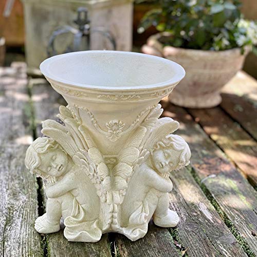 Amazon.co.jp: 木楽館: プランター