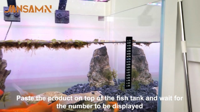 Image of Aquarium Thermometer Strips, Adhesive Kombucha Beer Brewing Temperature Strip, Stick On Strip Thermometer Sticker for Fish Tank /Fermentation Jar (39 to 97℉ /4 to 36℃) Terrarium Water Temperature Test