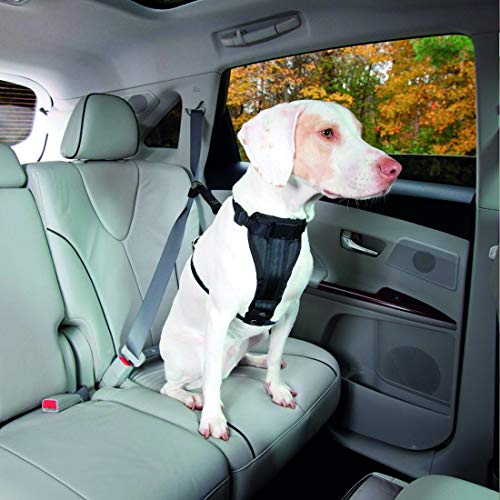 Cinto de Segurança Veicular, Petsafe Pet&Go para Cães, Grande