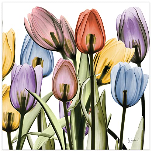 Empire Art Direct Frameless Free Floating Tempered Glass Panel Graphic Wall Art Ready To Hang, 24" X 24", Tulip Scape X-Ray Ii #TOP3