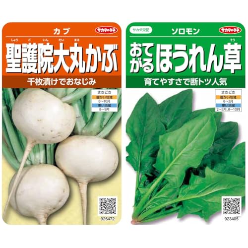 【セット買い】サカタのタネ 実咲野菜5472 聖護院大丸かぶ カブ 00925472 + 実咲野菜3405 おてがるほうれん草 ソロモン 00923405