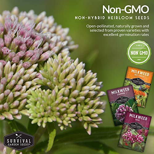 Survival Garden Seeds Milkweed Collection Seed Vault - Butterfly Milkweed, Common Milkweed & Rose (Swamp) Milkweed For Monarchs - Non-Gmo Heirloom Seeds For Planting & Growing In A Pollinator Garden #TOP5