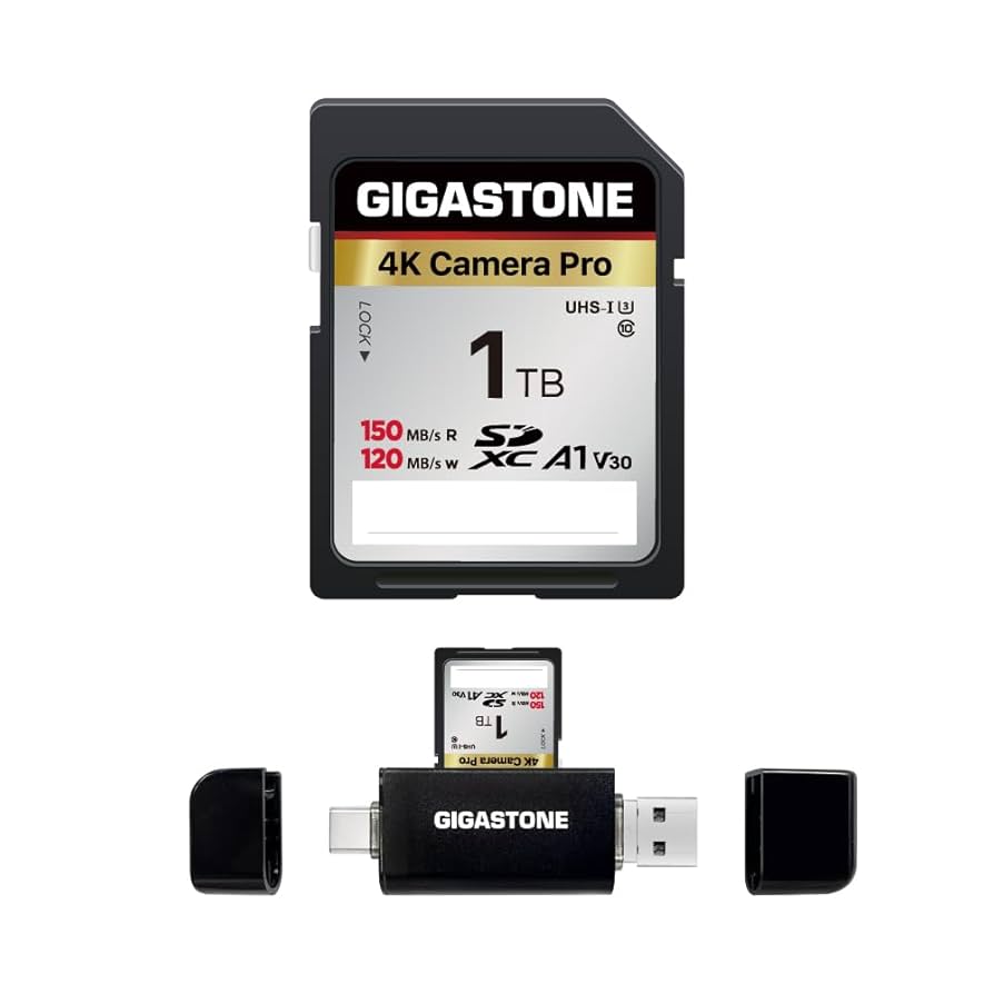 Amazon.co.jp: Gigastone SDカード 1TB Type Cカードリーダー付