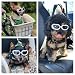 PETLESO Hunde Sonnenbrille für Kleine Hunde Hundebrille Wasserdichter Anti-UV Schutzbrille für Kleine Hunde - Gelb