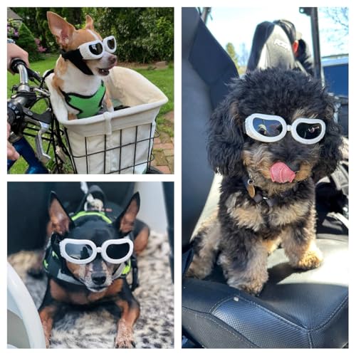 PETLESO Hunde Sonnenbrille für Kleine Hunde Hundebrille Wasserdichter Anti-UV Schutzbrille für Kleine Hunde - Gelb