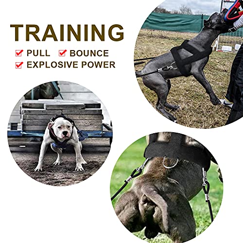 Forestpaw Dog Heavy Duty Harness With Training,Dog Harness Tactical With 3 Mental Rings,Soft Padded Vest For Medium Large Dogs,Black,S #TOP4