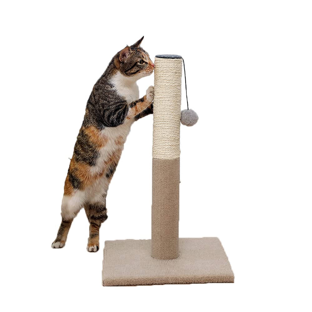 Buy NeoStyle Cat Scratching Post for Indoor Cats,Cat Scratcher with
