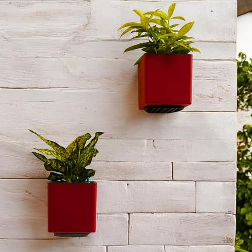 Image of Indian Discovery Self Watering Wall Hanging Planter|Hanging /Hooked Flower Pots for Home, Balcony, Vertical Garden Decor Flower Pots(6 Pc, Multi-Color, Square) |6 Inch UV-Resistant Plastic Plant Pots