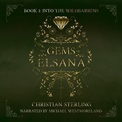 Into the Wildbarrens Audiobook By Christian Sterling cover art