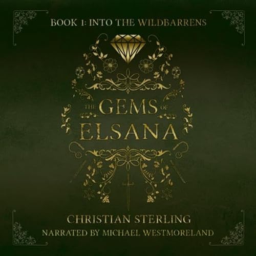 Into the Wildbarrens Audiobook By Christian Sterling cover art