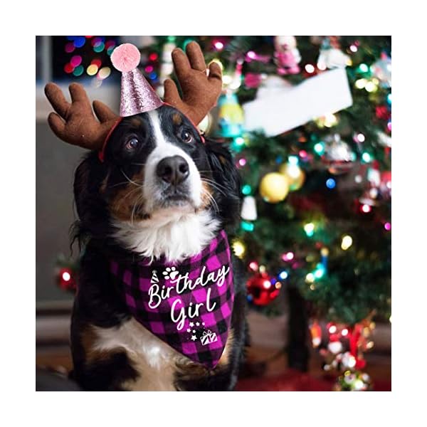Yrovwenq family kitchen classic pink plaid pet puppy dog bandana with dog birthday party hat accessories, girl dog birthday bandana scarf bibs for pet birthday outfit party supplies set - image 3