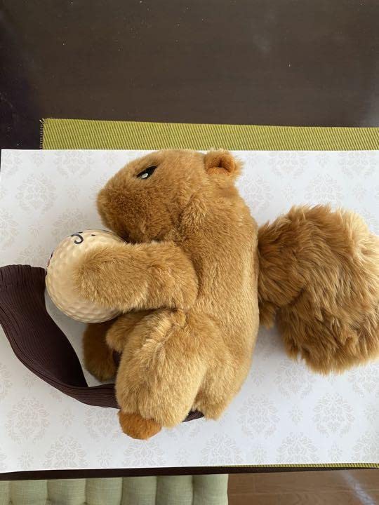 値下げ中　石川遼選手サイン入り（本物証明書付き）限定品クラブカバー Amazon.co.jp: 石川遼選手サイン入り（本物証明書付き）限定品