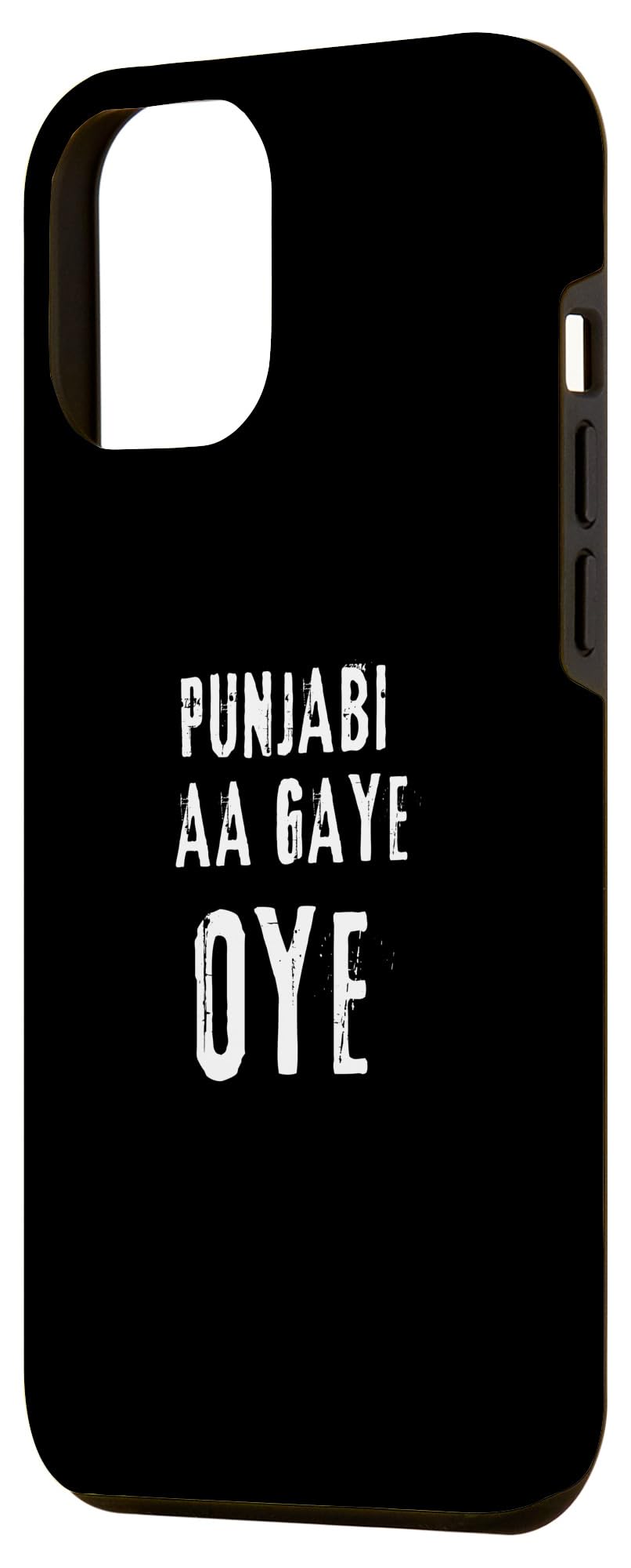 iPhone 14 Pro Max Punjabi Aa Gaye Oye Tonight Diljit Dosanjh Case - Image 2