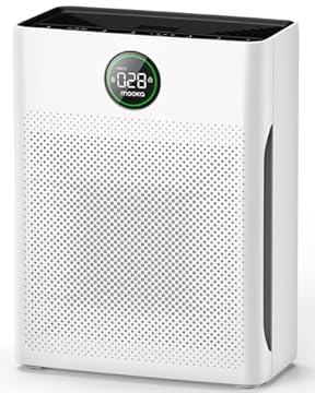best non toxic air purifier
