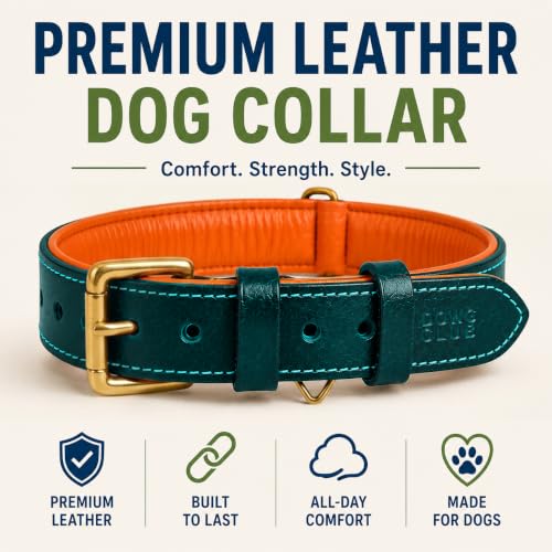 Image of Genuine Leather Dog Collar, Green, Extra Large, Brass Buckle, Padded | 1.5 Inch Wide, Fit Neck Size - 22 inch - 26 inch, Double D Ring, Adjustable, Thick Leather, Heavy Duty, Soft Leather padding
