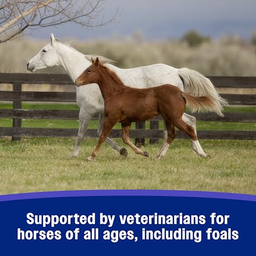 Farnam SandClear Crumbles, Psyllium Digestive Supplement, 9 Day Supply | Apple Flavor,Psyllium Digestive Health Supplement for Horses supports the removal of sand and dirt from the ventral colon - Image 7