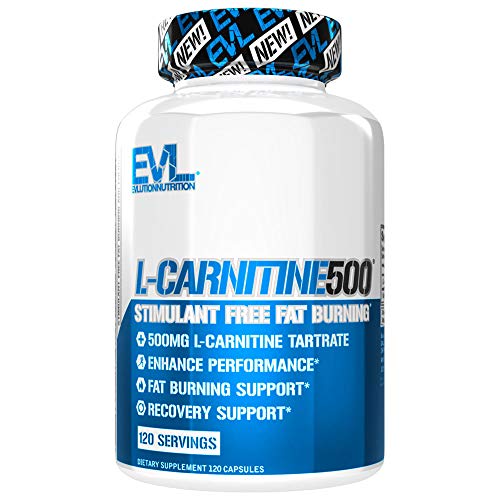 Top 10 Best L Carnitine For Horses in 2024 Reviews by Experts