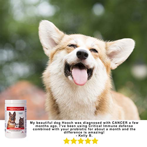 Turkey Tail Mushroom for Dogs Immune Support with Reishi, Shiitake