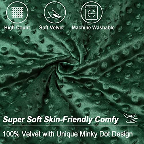 Phf Minky Dot Euro Sham Covers 26"X 26", 2 Pack Soft Cozy Minky Bubble Real Velvet Throw Pillow Covers, No Insert, Home Decorative Square Pillowcase Cushion Cover For Couch Sofa Bed, Green #TOP3