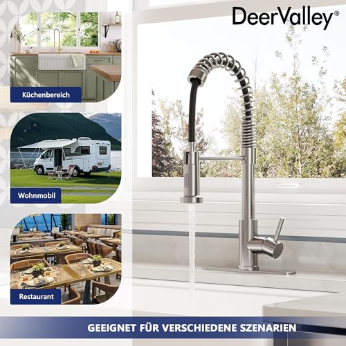 DeerValley Wasserhahn Küche Küchenarmatur Ausziehbar mit 2-Strahl-Sprühbrause Drehbarem Einhebelmischer Edelstahl Wasserhahn für Spüle, Flexibler Küchenhahn