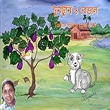 KNC Solutions Private Limited
