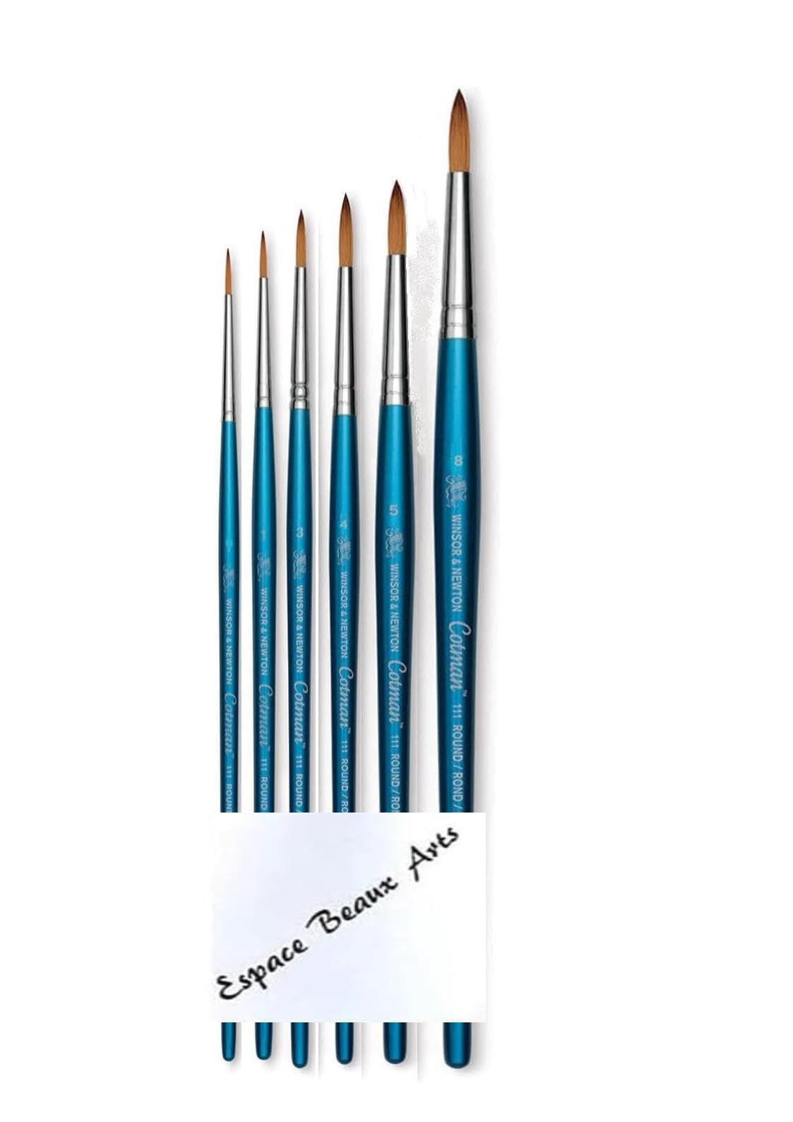Cotman Winsor & Newton Aquarellpinsel mit kurzem Griff, Serie 111. NO. 0. 1. 3. 4. 5. 8