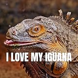Photo Gallery i love my iguana