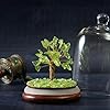 Product Photo 8