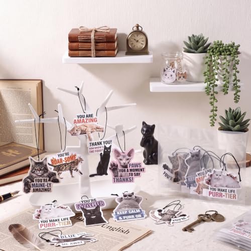 Image of Siifert 24 Pcs Vet Tech Appreciation Week Gift Bulk Cat Air Freshener Car