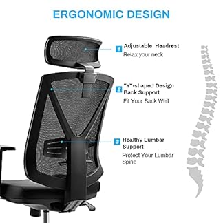 Ergonomic Office Chairs