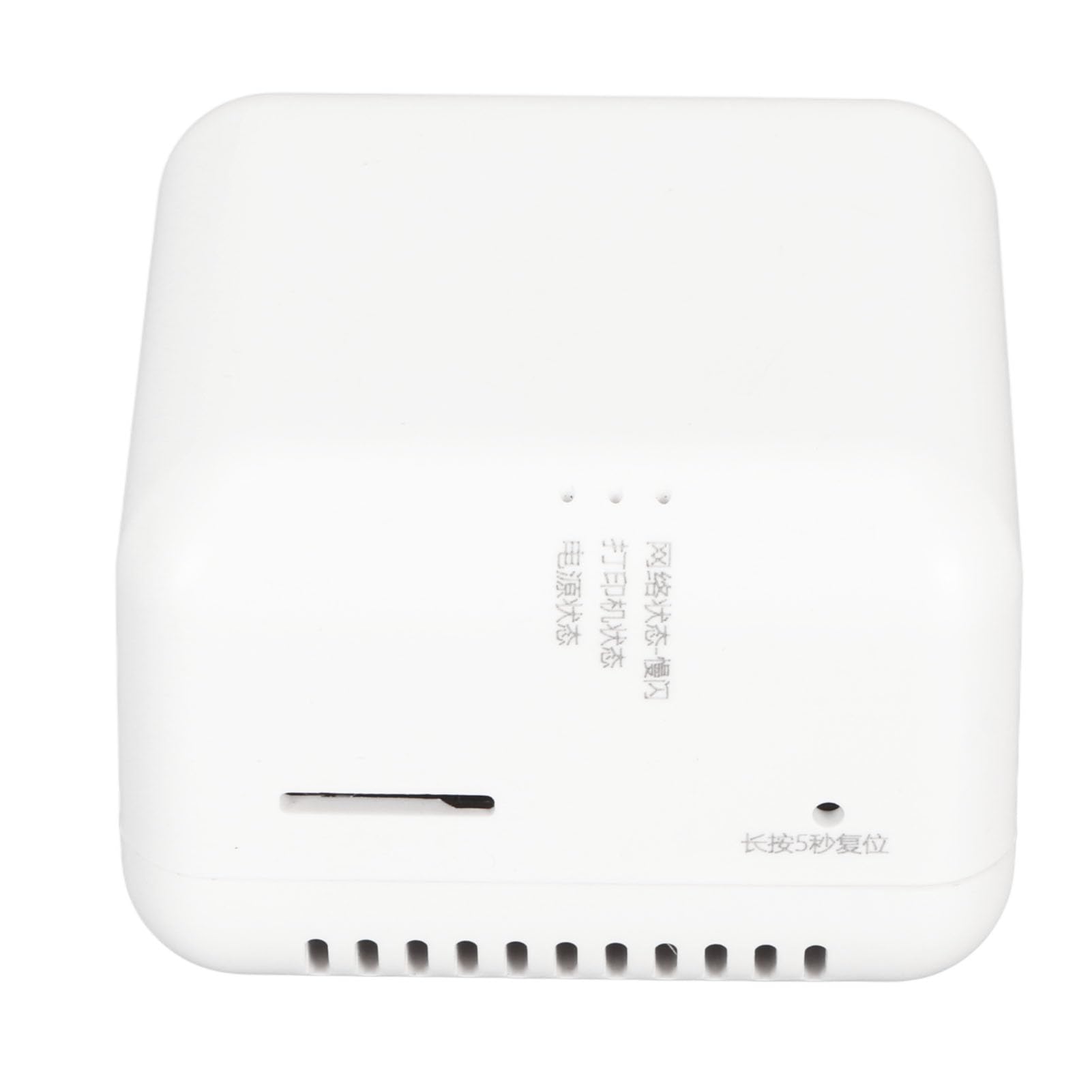 ciciglow Server di Stampa di Rete USB 2.0, Server di Condivisione di Stampa LAN per Stampanti USB Adattatore per Server di Stampa per Computer per XP o Versioni Successive, (Spina
