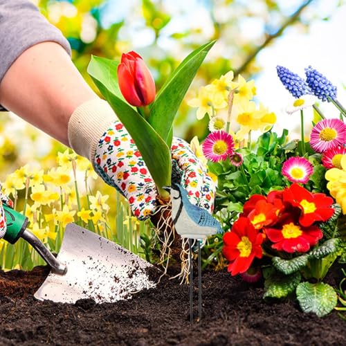 y됅v | ^A - g₷Axv vX`bNK[ffR[V ʎ _ Ő _  ~ A