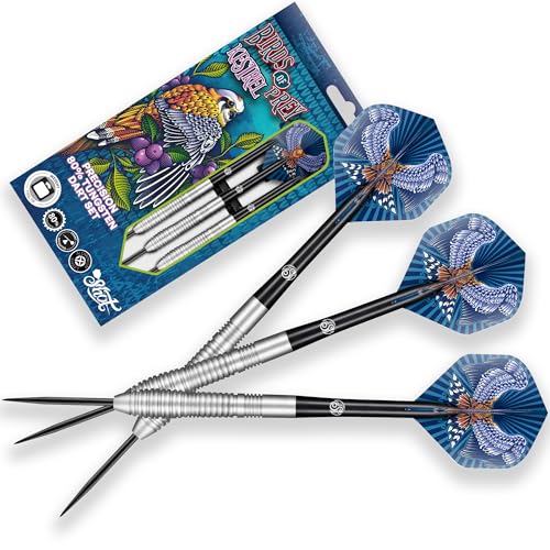 Fléchettes Pointe Acier 24g Shot Birds of Prey Kestrel cible traditionnelle