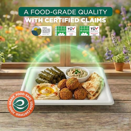 Assiettes en carton compostables 25 cm rigides et micro-ondes
