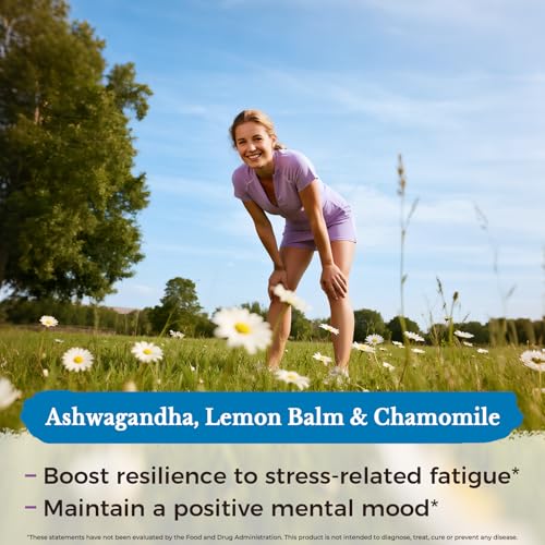 Vitalitown Stress Support Supplement, Calming Blend of Ashwagandha, GABA, L-Theanine, Lemon Balm, Natural Cortisol Response, Ease Stress & Tension, Promote Relaxation & Mental Focus, 60 Vegan Caps - Image 6