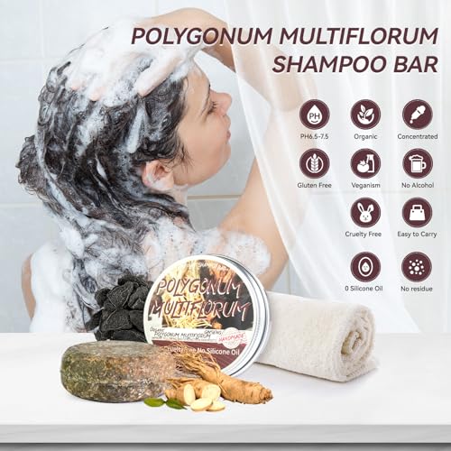 Hotiary Hair Darkening Shampoo Bar, Shouwu Blackening Shampoo Soap for Gray Hair, All nature Organic (2 Pack Polygonum Multiflorum for Grey Hair)