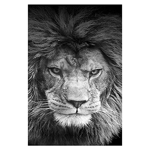 YLSF Lion Canvas Prints Wall Art Animal World Series Poster Modern Wildlife Portrait Graphic Artwork Print Painting Cover