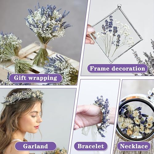 Dried Lavender & Baby's Breath Flowers Bundles for Home, Wedding, Photography, Floral Arrangement, DIY - Image 8