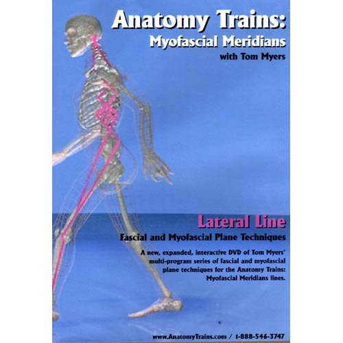 Buy Anatomy Trains Myofascial Meridians Superficial Back Line, Fascial and Myofascial Plane
