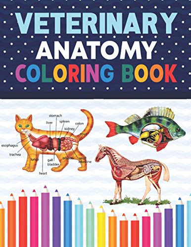 Veterinary Anatomy Coloring Book: Dog Cat Horse Frog Bird Anatomy Coloring Book. Perfect gift For All Ages Kids 4, 5, 6, 7, 8, 9 & 10. Vet tech ... Veterinary & Zoology Anatomy Coloring Book.