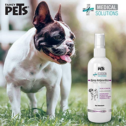 Reviews y listado de Fancy pets - los mas comprados. 5 Imagen adicional