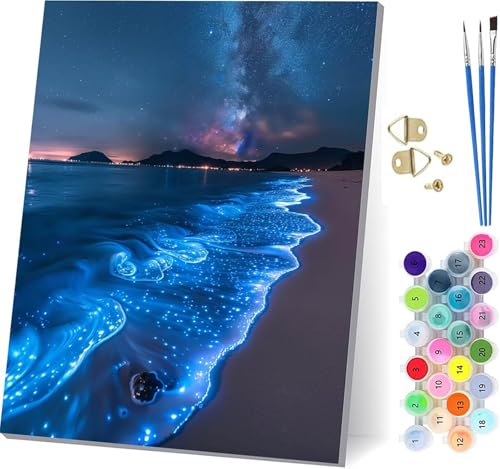 ビーチ 数字油絵 DIY Paint by Numbers for Adults 星空 手作りキット子供初心者 塗り絵 数字 キット ブラシとアクリル絵の具が入 ペイントバイナンバー 大人のクラフトアクティビテ ホーム オフィス装飾 女性へのギフト 50x