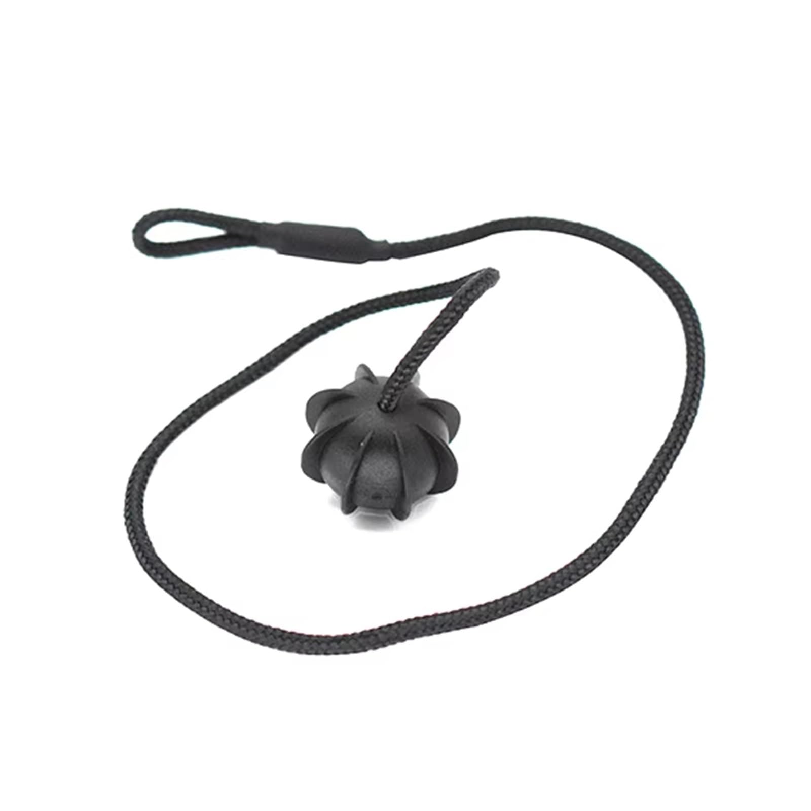 Compatibile Con Per R Portellone Posteriore Baule Stringa Per Scaffale Per Pacchi Auto Corda Tonneau Cover Strap Rack Rope Hanging 1PCS Corda Scaffali cinghie