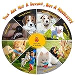 KIPRITII Dog Chew Toys for Puppy - 20 Pack Puppies Teething Chew Toys for Boredom, Pet Dog Toothbrush Chew Toys with… - Image 3