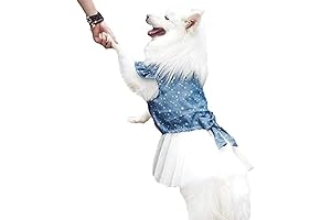 Large Dog Dress for Golden Retrievers and Pitbulls