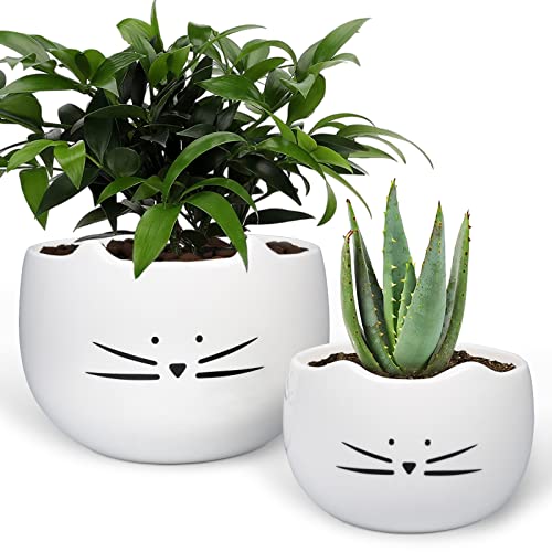 Koolkatkoo 14 cm Sukkulenten-Übertopf mit süßem Katze, weißer...
