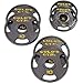 Golds Gym Olympic Plate Set with Grip Plate Design Make Working Out Safer and More Productive (50 lb)